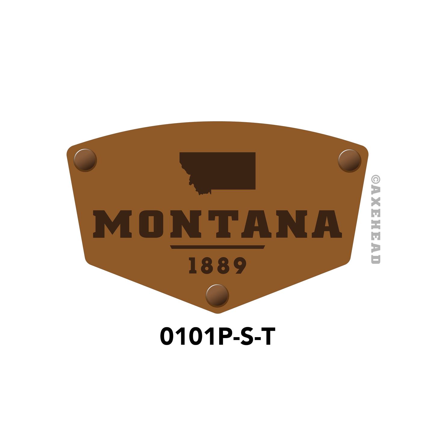 Montana 1889